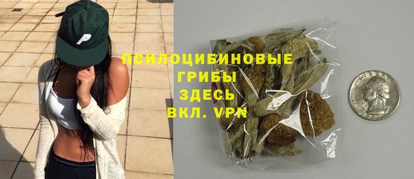 гашик Воткинск