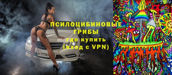 гашик Воткинск