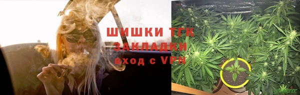 дживик Арсеньев
