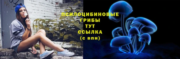 дживик Арсеньев