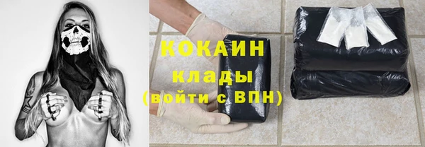 твердый Аркадак