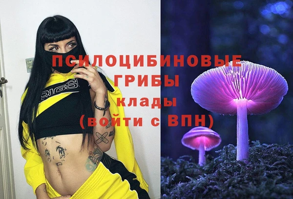 дживик Арсеньев