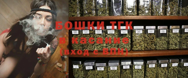 твердый Аркадак