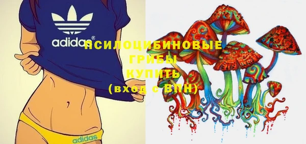 твердый Аркадак