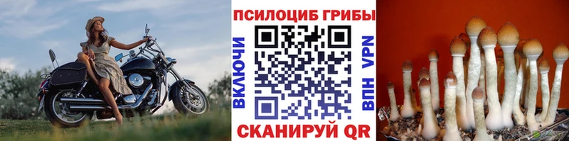 Галлюциногенные грибы Magic Shrooms  купить закладку  Бронницы 